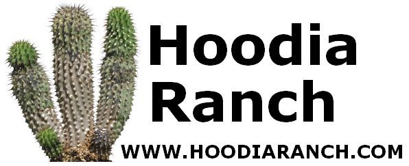 Hoodia Ranch Logo www.hoodiaranch.com